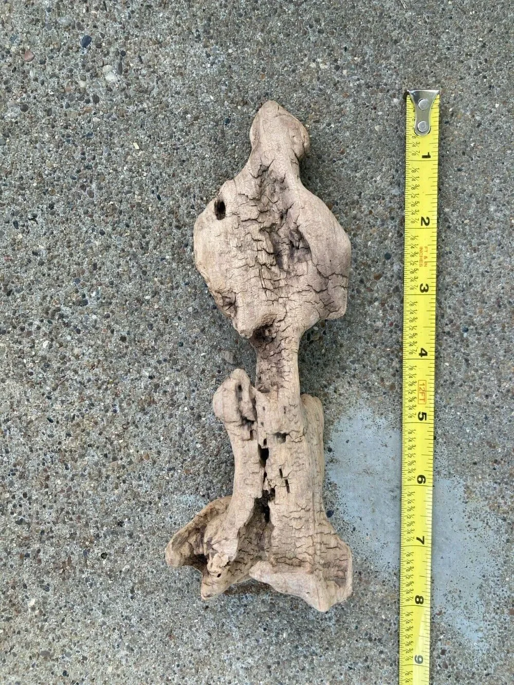 Ohio River Driftwood 7